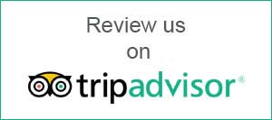 TripAdvisor Review